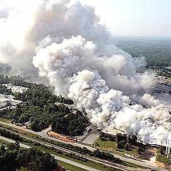 Kaza Önleme Politikası